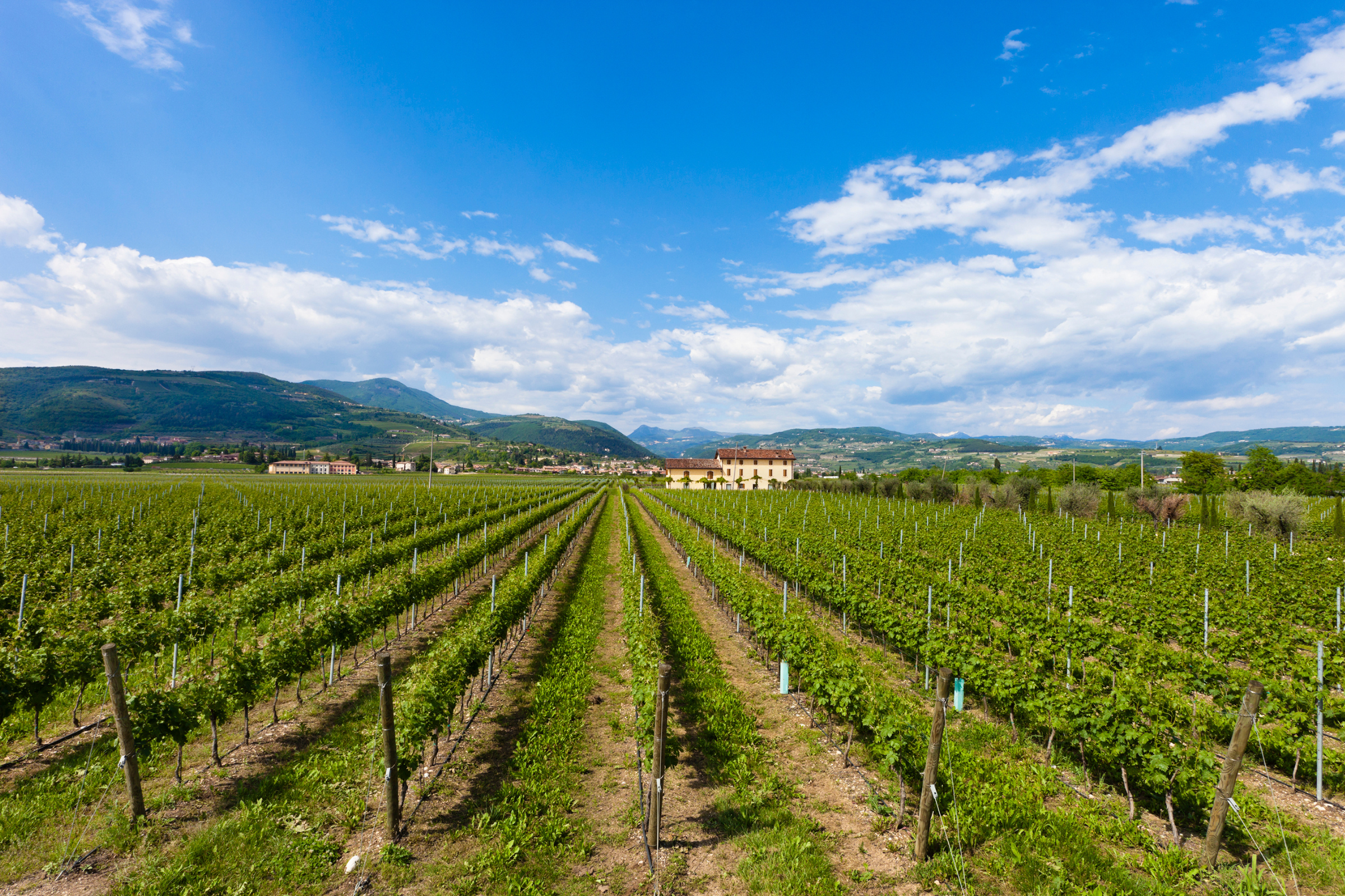 15_Valpolicella[1].webp